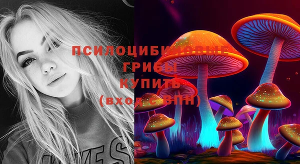 каннабис Алзамай