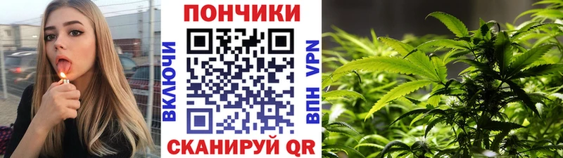 Бошки марихуана OG Kush  Бологое 